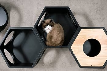MYZOO 六角ハウス ブラック 黒 キャットウォーク キャットステップ キャットステップ】MYZOO-六角ハウス/ブラック